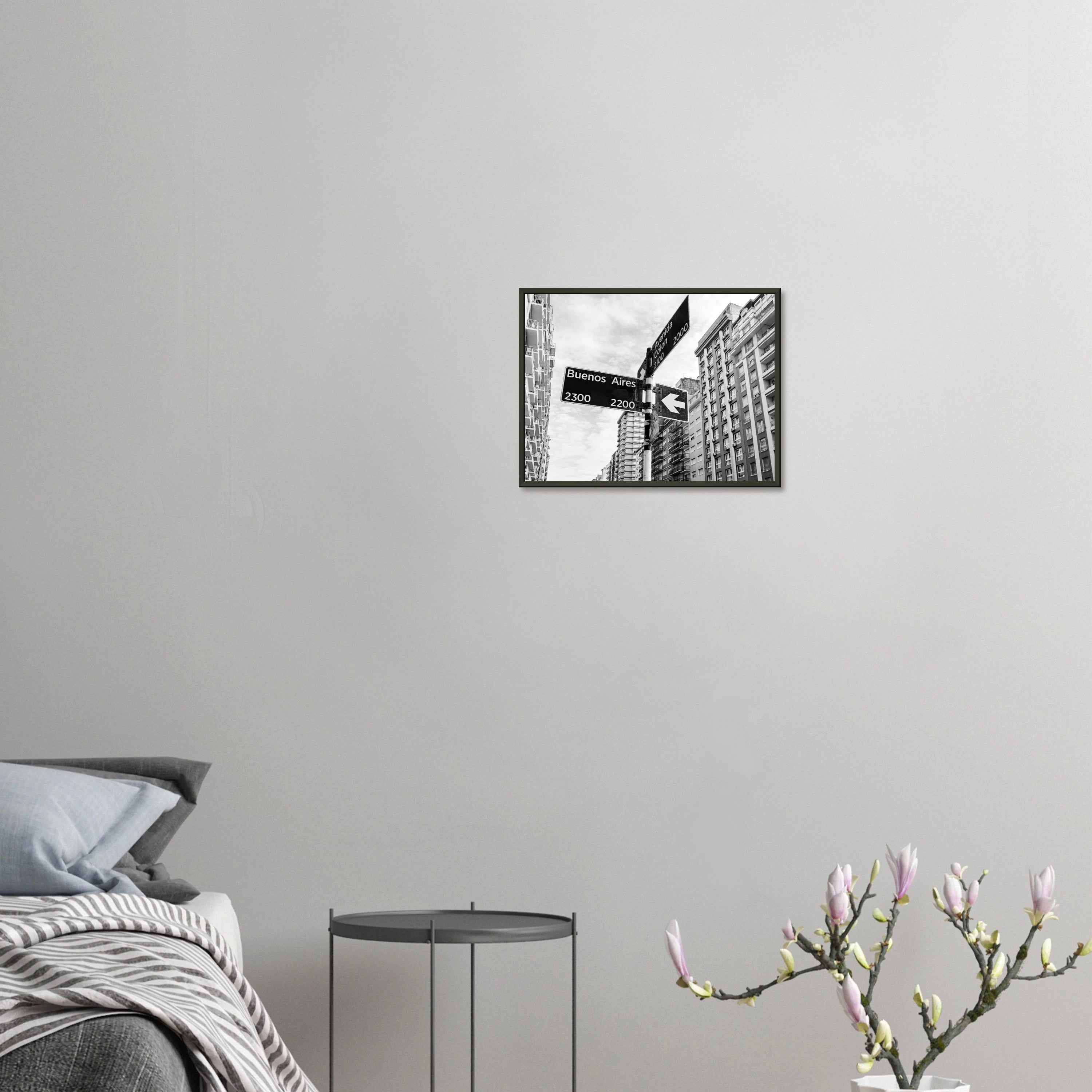 Colon & Buenos Aires - Poster Enmarcado