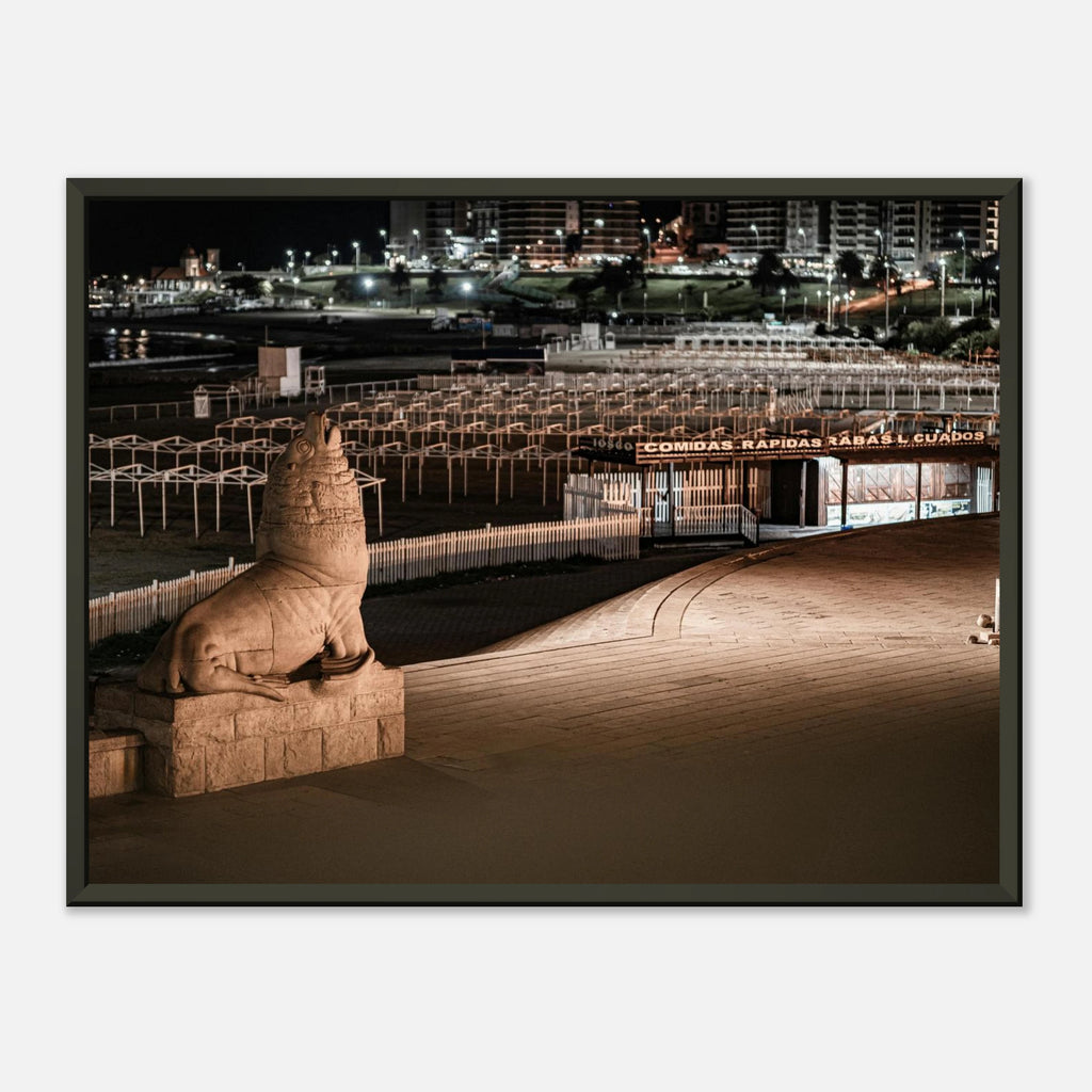 Lobo Costa - Poster Enmarcado