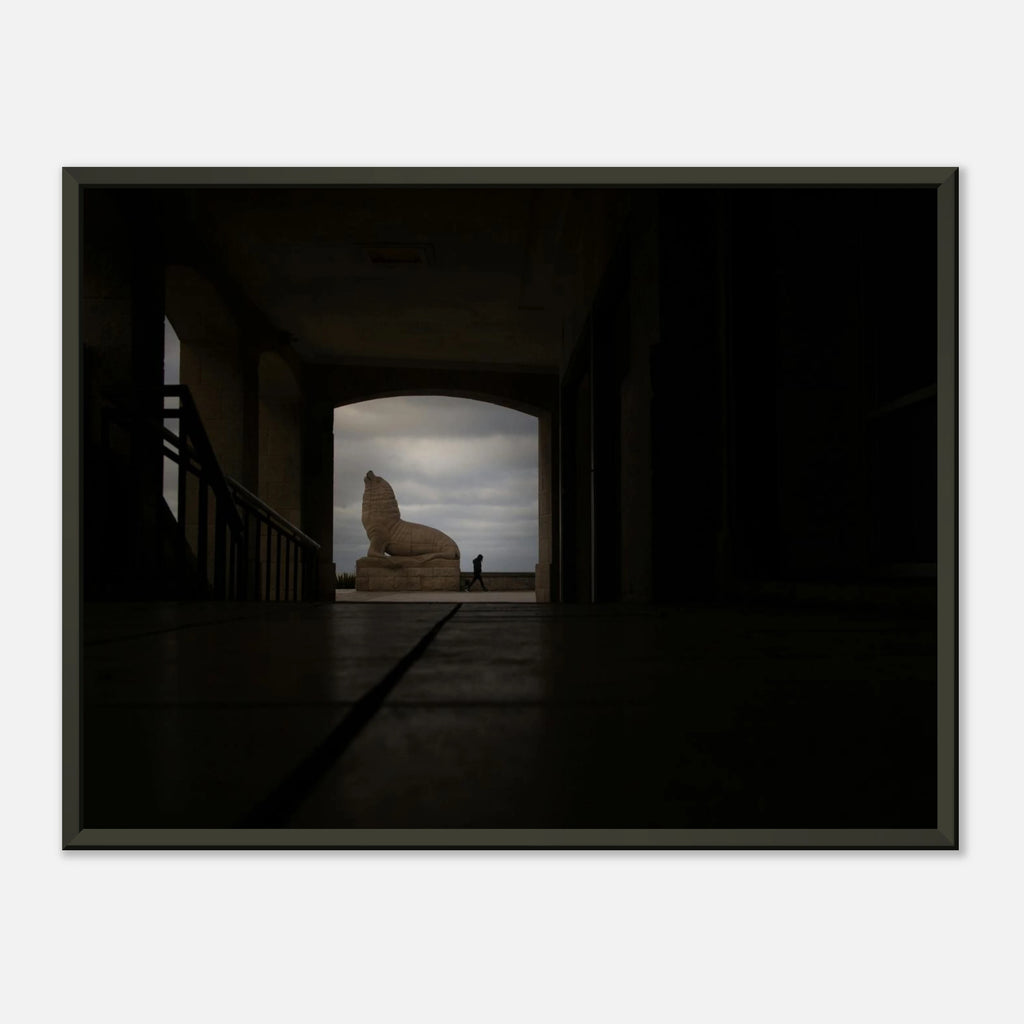 Lobo Sombra - Poster Enmarcado