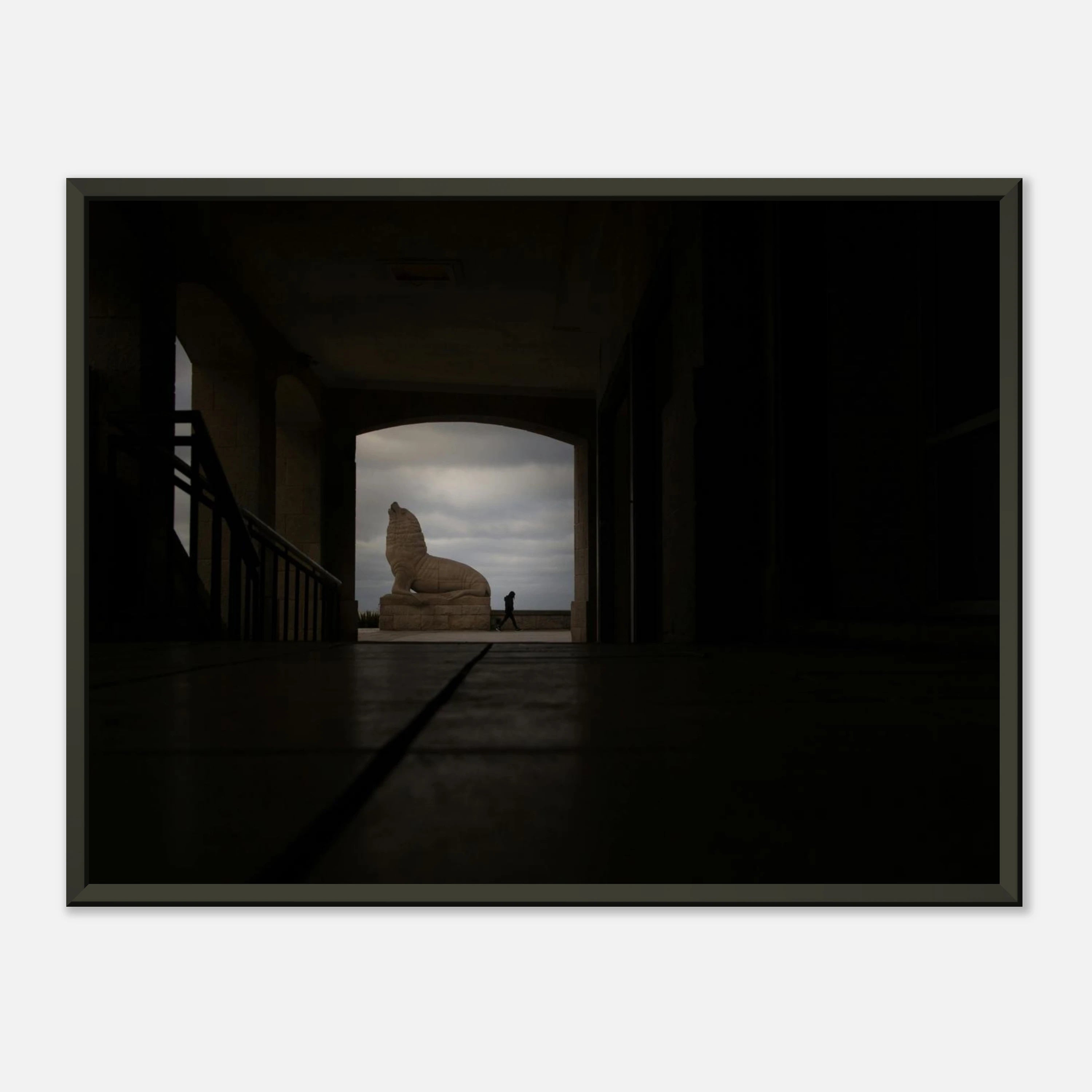 Lobo Sombra - Poster Enmarcado