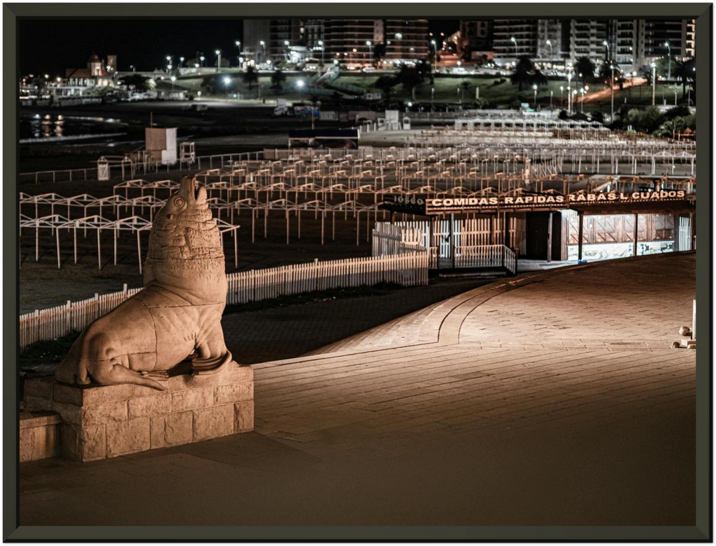 Lobo Costa - Poster Enmarcado