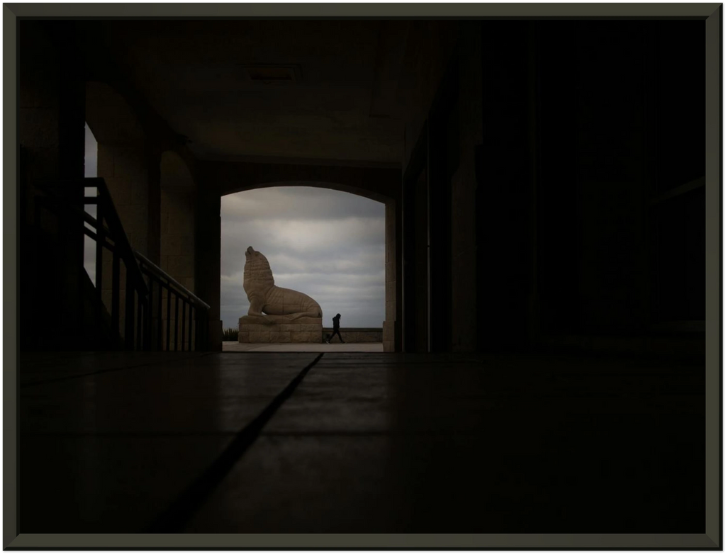 Lobo Sombra - Poster Enmarcado