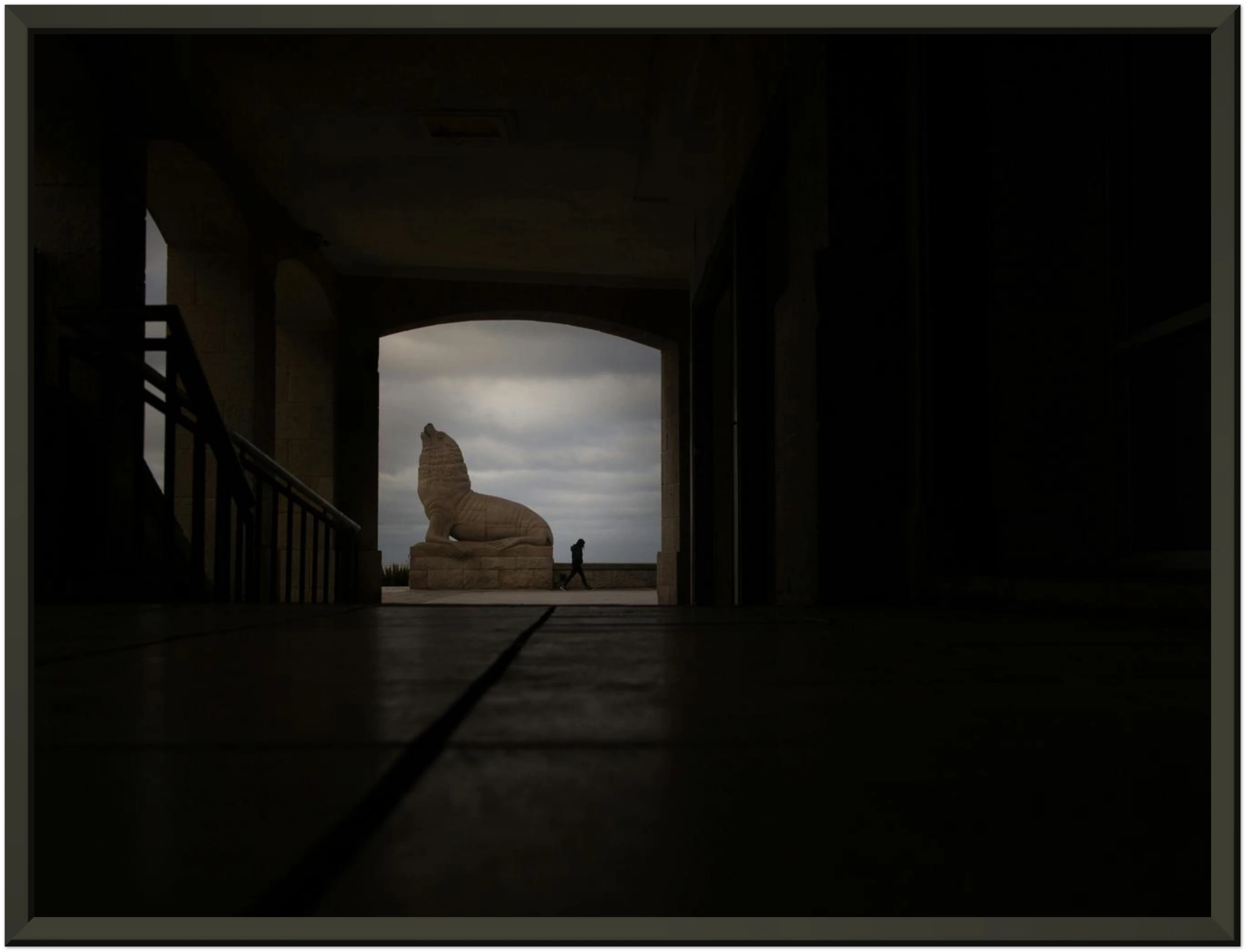 Lobo Sombra - Poster Enmarcado